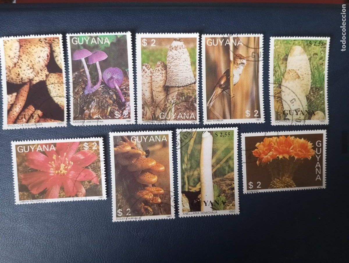 Sellos: SETAS, FLORES DE CACTUS, SELLOS DE GUYANA 1987/1990