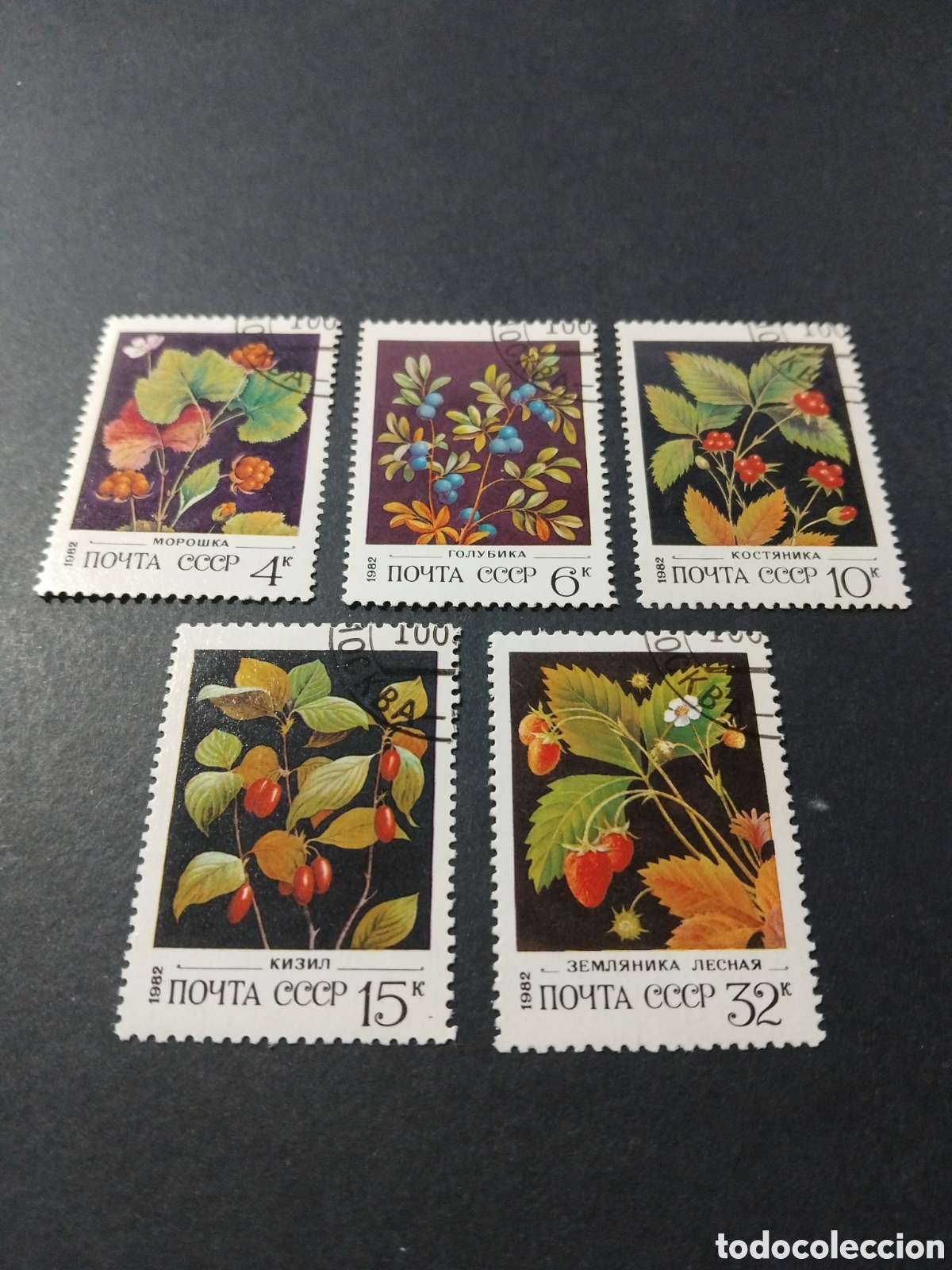 Sellos: URSS. 1982. Bayas salvajes