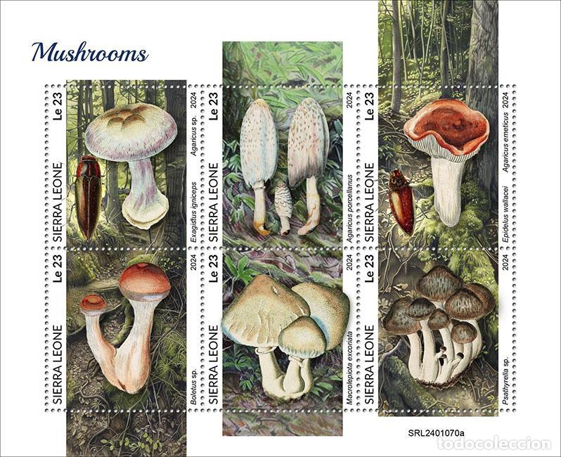 Sellos: Sierra Leona 2024 Mi. 18052-18057 hoja setas boletus morillas