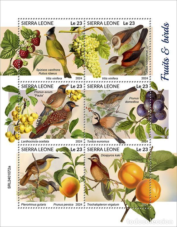 Sellos: Sierra Leona 2024 Mi. 18068-18073 hoja frutas aves