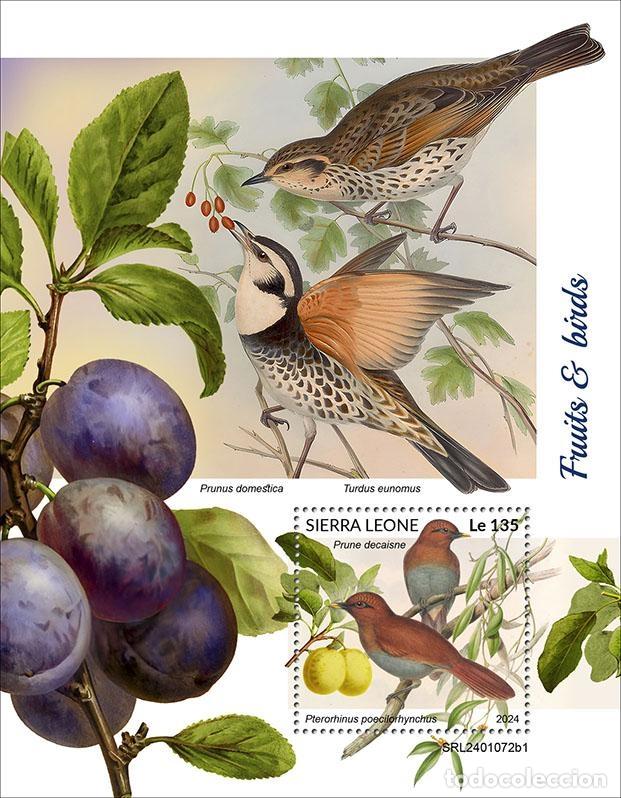 Sellos: Sierra Leona 2024 Mi. Bl. 3136 bloque frutas aves