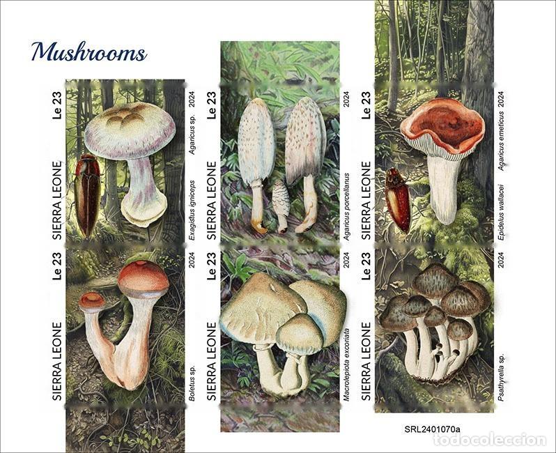 Sellos: Sierra Leona 2024 Mi. 18052-18057 hoja sin dentar setas boletus