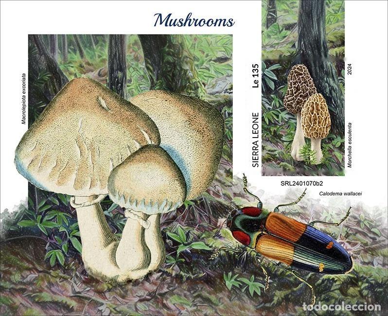 Sellos: Sierra Leona 2024 Mi. Bl. 3133 bloque sin perforar setas boletus colmenillas