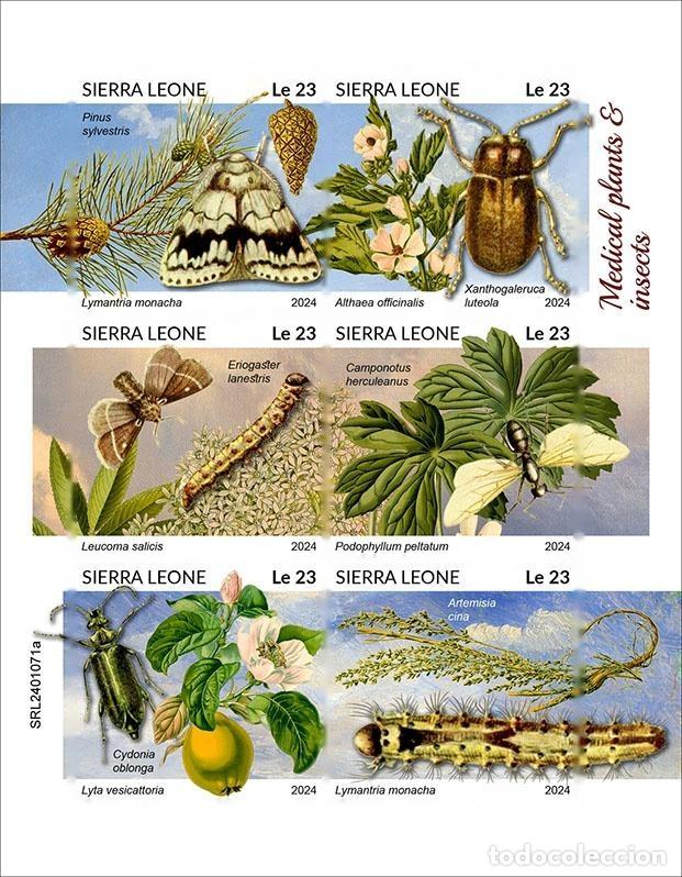 Sellos: Sierra Leona 2024 Mi. 18060-18065 hoja sin dentar plantas medicinales