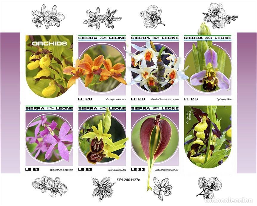 Sellos: Sierra Leona 2024 Mi. 18803-18808 hoja sin dentar orqu&iacute;deas
