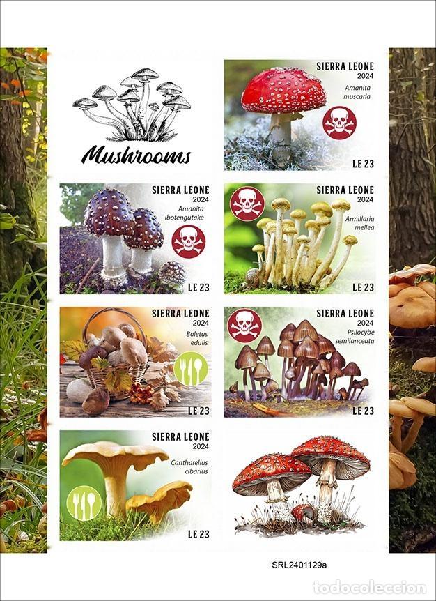 Sellos: Sierra Leona 2024 Mi. 18869-18874 hoja sin dentar setas amanita boletus