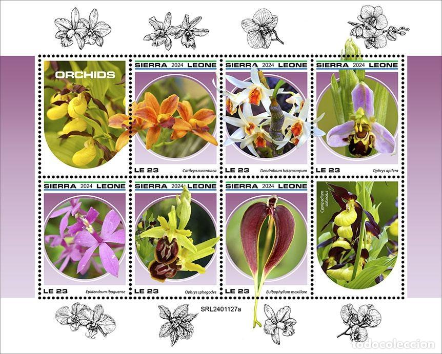 Sellos: Sierra Leona 2024 Mi. 18803-18808 hoja orqu&iacute;deas