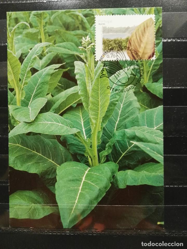 Sellos: AZORES. YVERT 488. CULTURA DEL TABACO EN LA ISLA DE SAN MIGUEL.