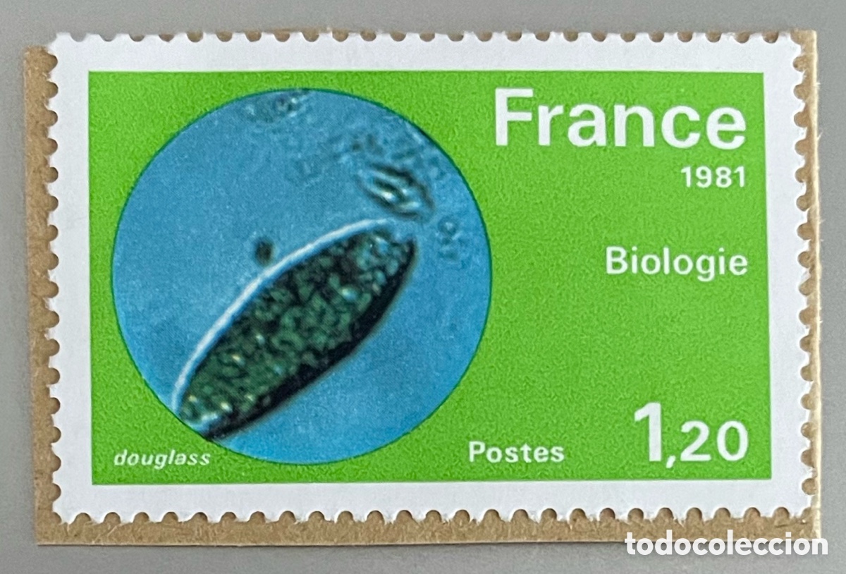 Sellos: Francia. Tecnolog&iacute;a. 1981 - Foto 1