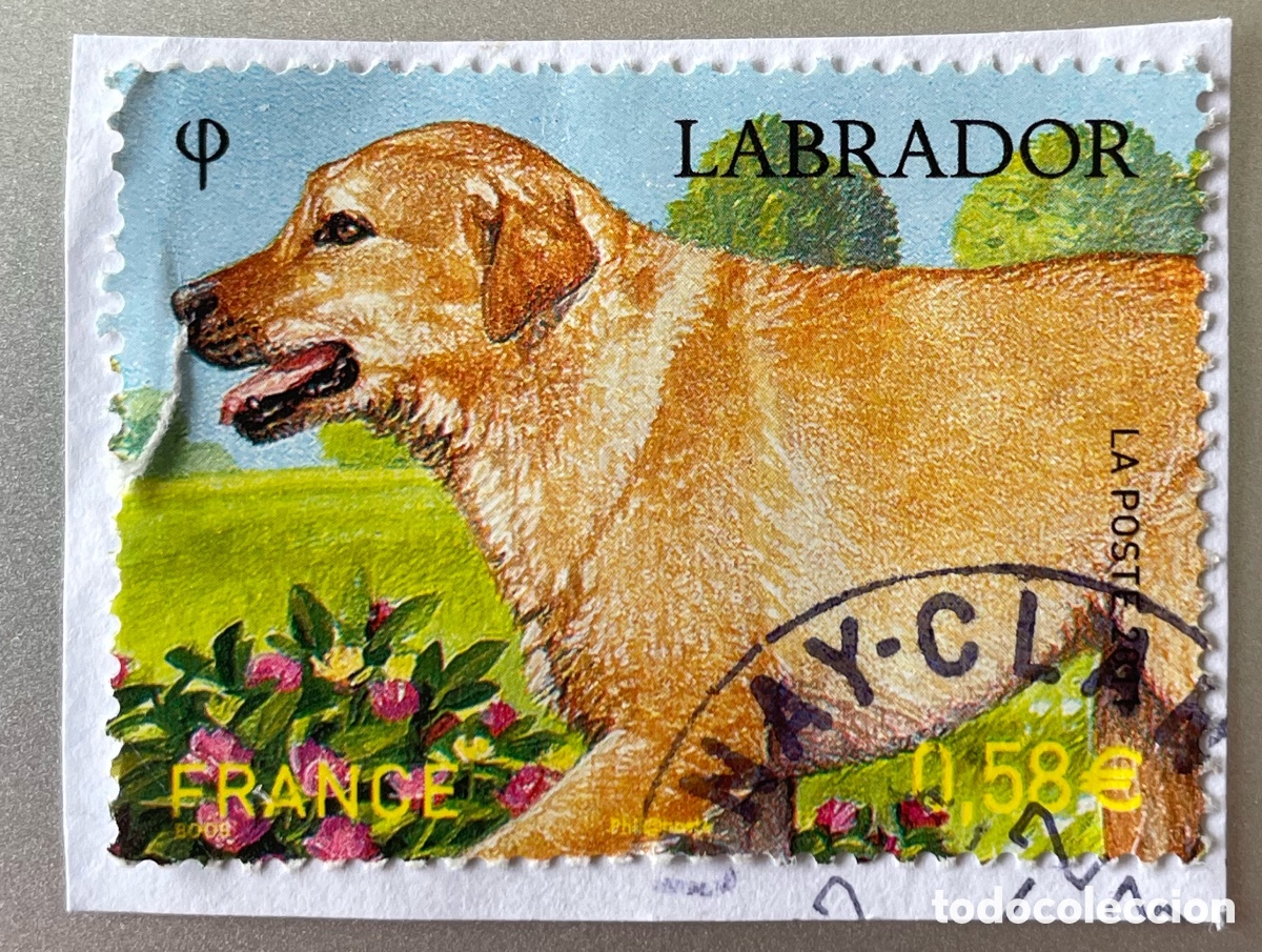 Sellos: Francia. Perro labrador. 2011 - Foto 1