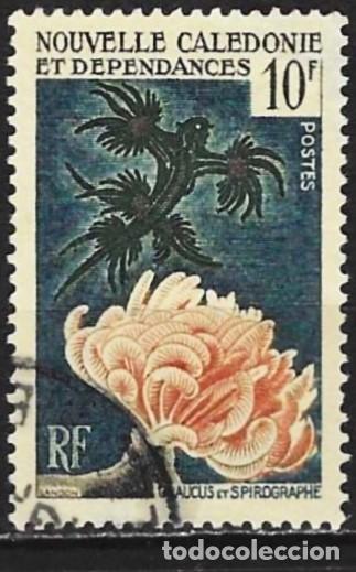 Sellos: Nueva Caledonia 1959 - Mi 366 - YT 293 - Vida marina : Colares