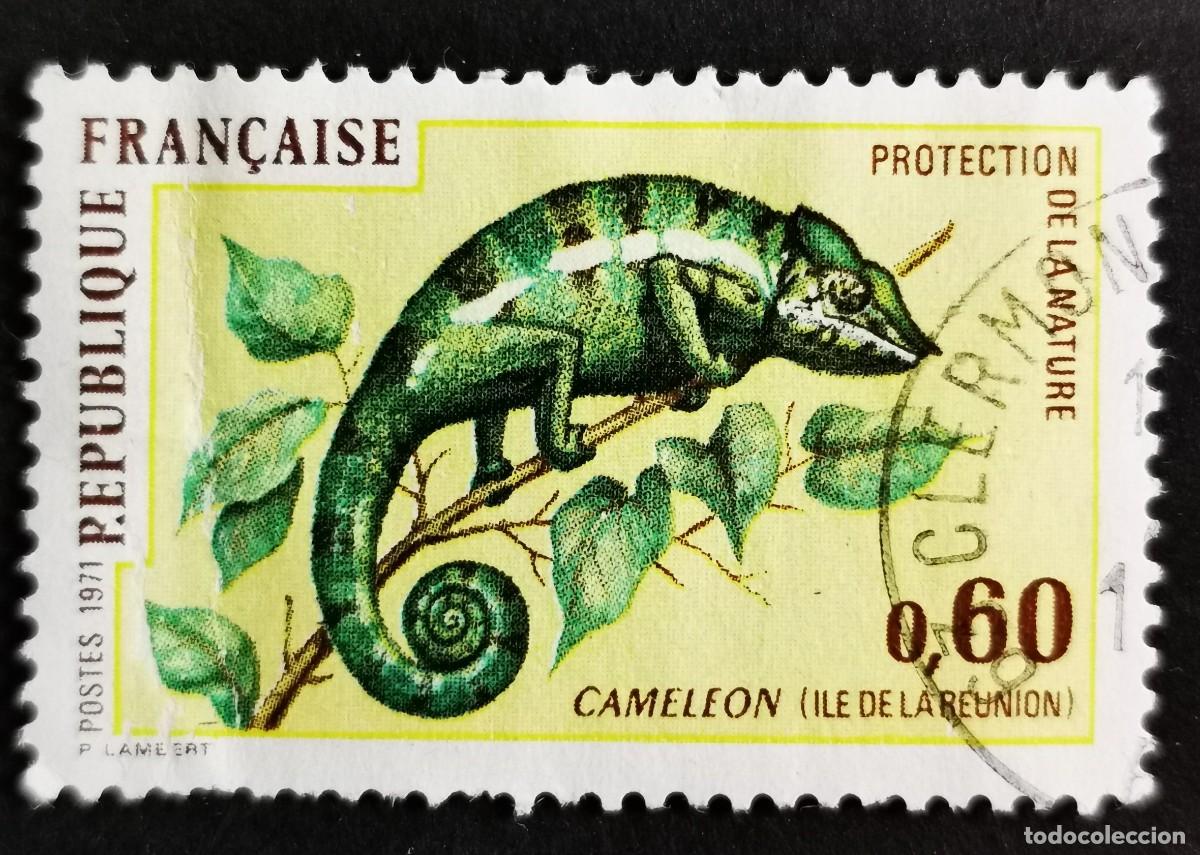 Sellos: Sello Francia 1971, Camale&oacute;n pantera (Chamaeleo pardalis), 0,60 F Michel: 1771