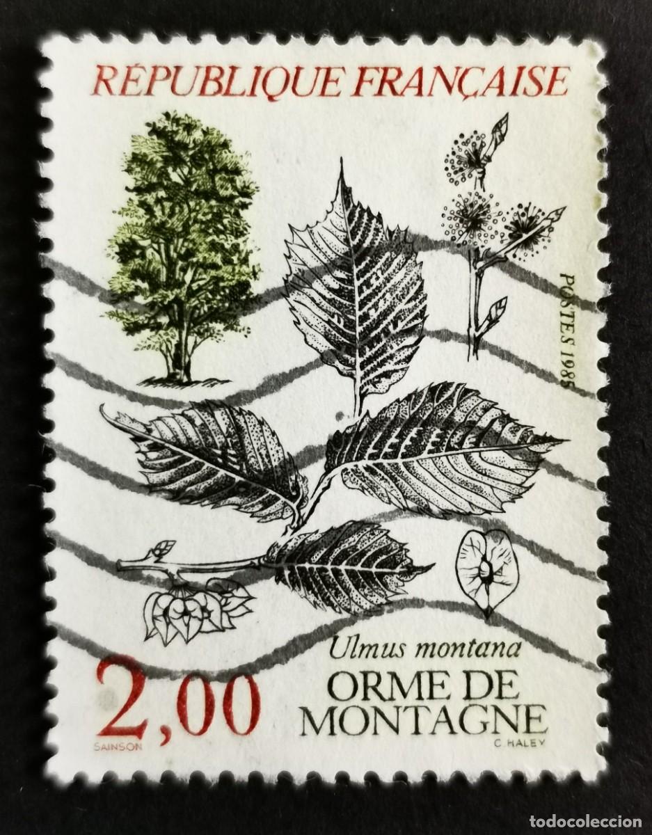 Sellos: Sello Francia 1985, &Aacute;rbol: Olmo de monta&ntilde;a Ulmus montana, 2,00 F Michel: 2515