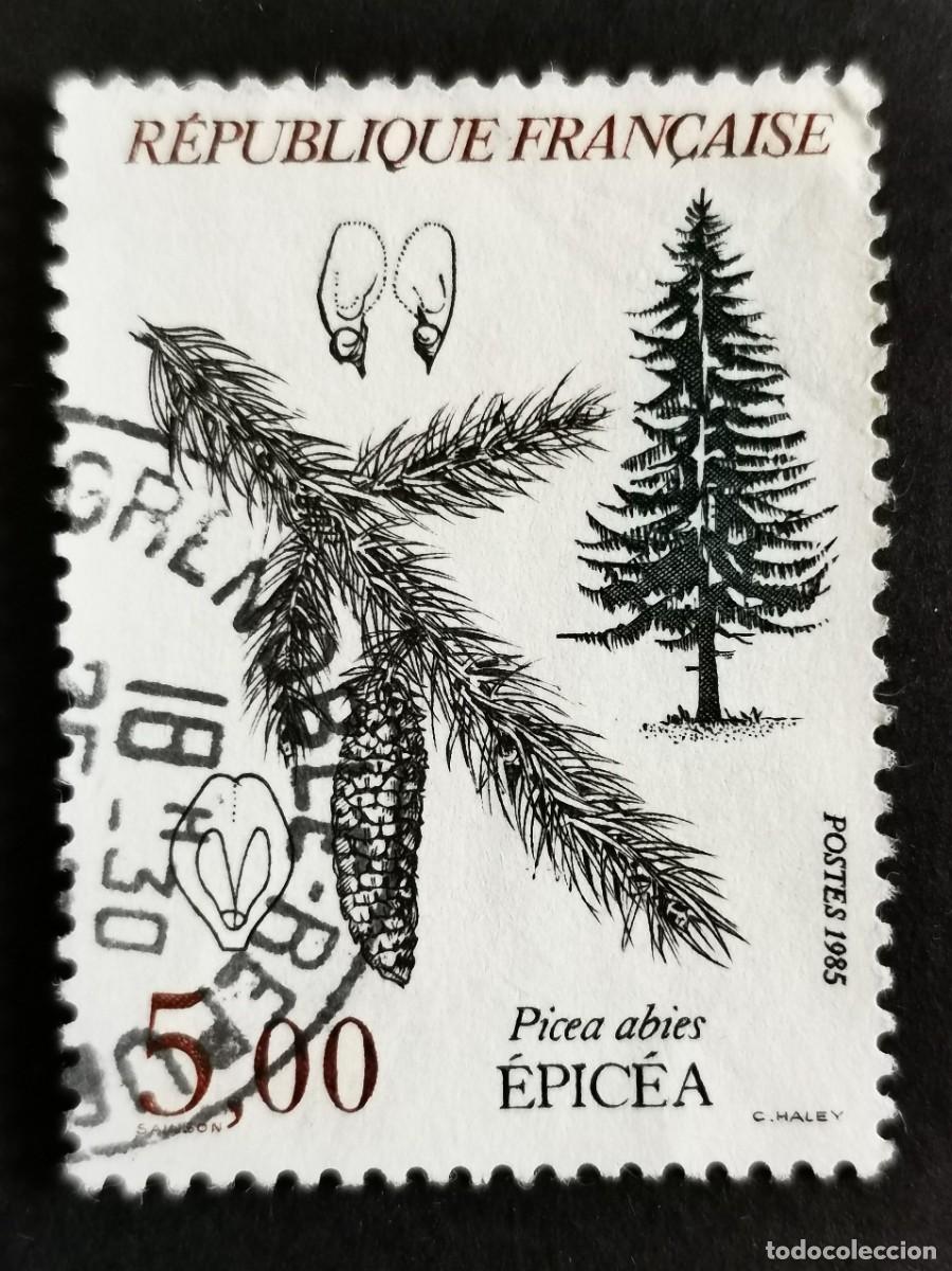 Sellos: Sello Francia 1985, &Aacute;rbol: Abeto (Picea abies), 5,00 F Michel: 2517