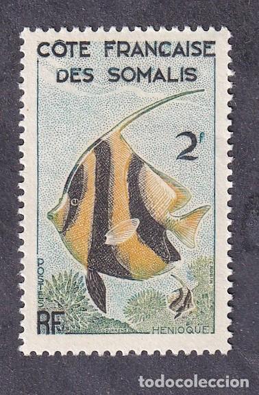 Sellos: colonies fran&ccedil;aises COTE DES SOMALIS n&deg; 293 ** poisson h&eacute;nioque