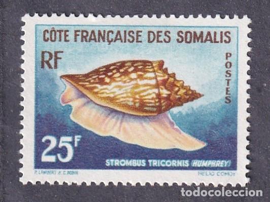 Sellos: colonies fran&ccedil;aises COTE DES SOMALIS n&deg; 313 * coquillage strombus tricornis