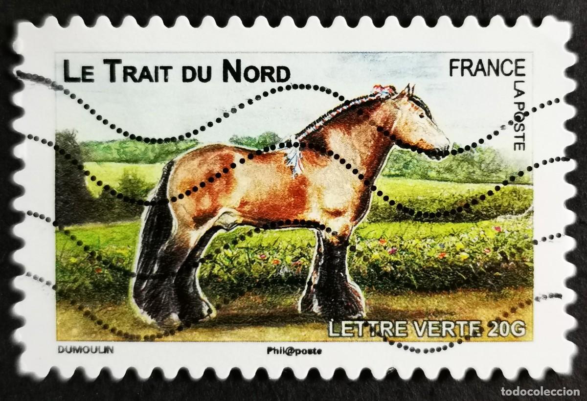 Sellos: Sello Francia 2013, Rasgo Norte (Equus ferus caballus), Sin Valor Facial Michel: FR 5546