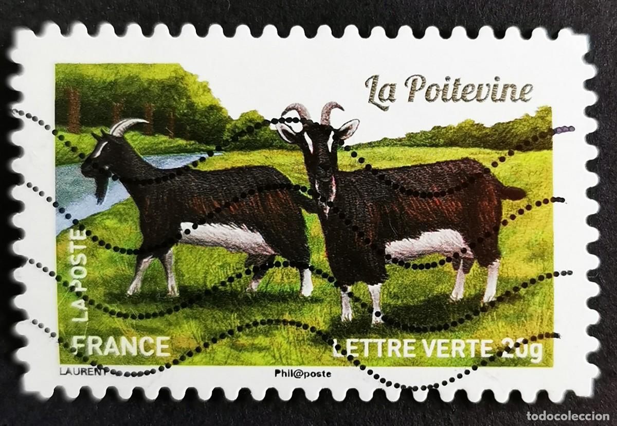 Sellos: Sello Francia 2015, Cabra Poitevina (Capra aegagrus hircus), Sin Valor Facial Michel: FR 6078
