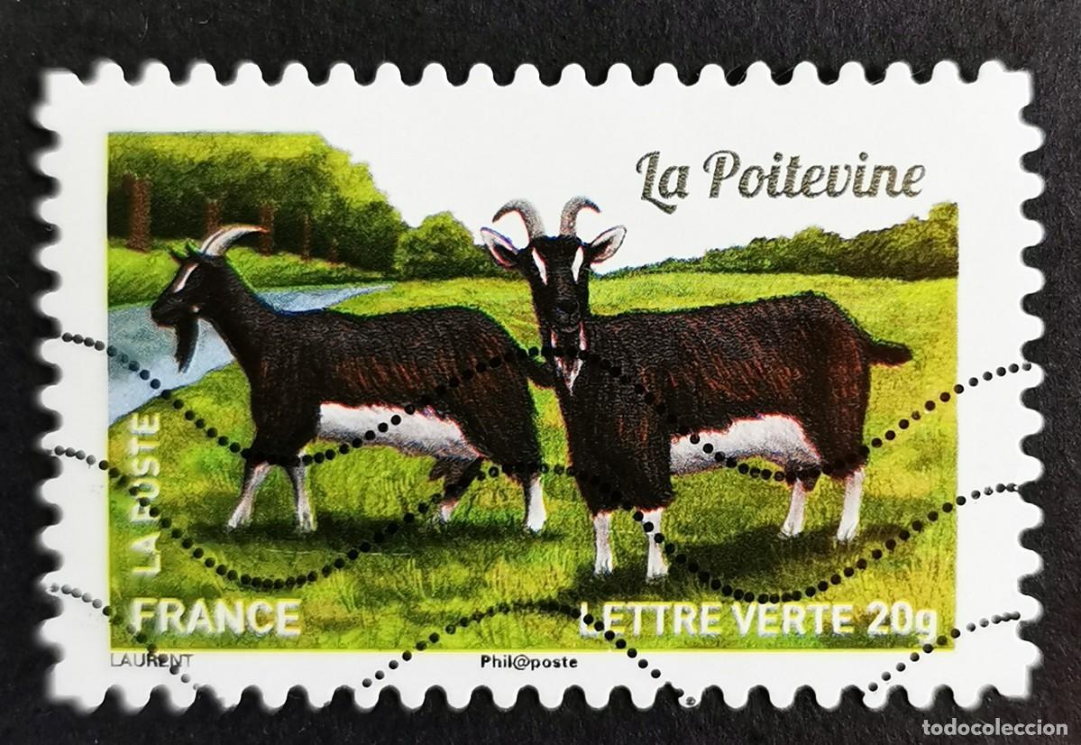 Sellos: Sello Francia 2015, Cabra Poitevina (Capra aegagrus hircus), Sin Valor Facial Michel: FR 6078