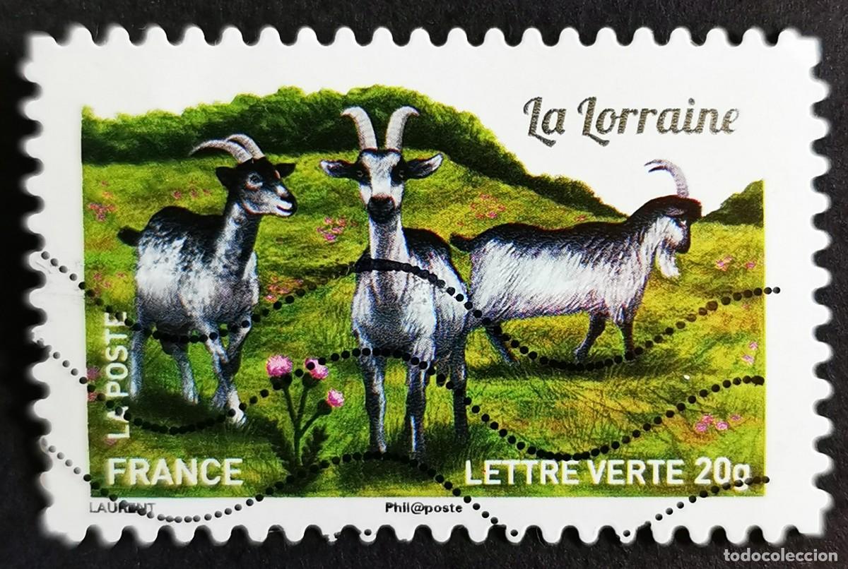 Sellos: Sello Francia 2015, Cabra de Lorena (Capra aegagrus hircus)), Sin Valor Facial Michel: FR 6081