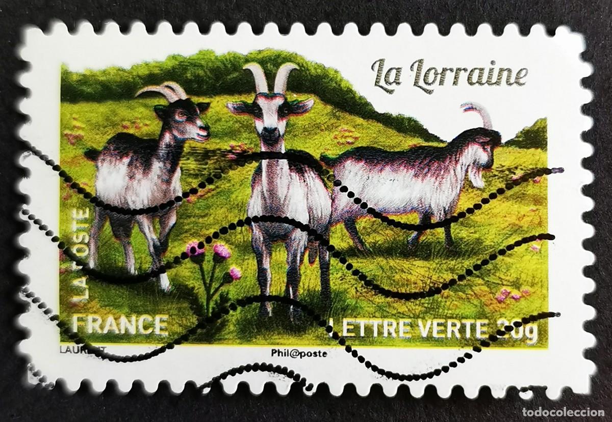 Sellos: Sello Francia 2015, Cabra de Lorena (Capra aegagrus hircus)), Sin Valor Facial Michel: FR 6081