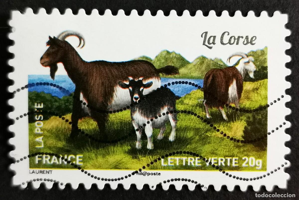 Sellos: Sello Francia 2015, Cabra corsa (Capra aegagrus hircus), Sin Valor Facial Michel: FR 6088
