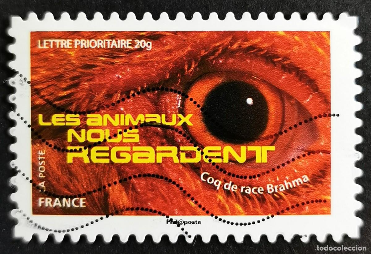 Sellos: Sello Francia 2015, Gallo Brahma (Gallus gallus domesticus), Sin Valor Facial Michel: FR 6182
