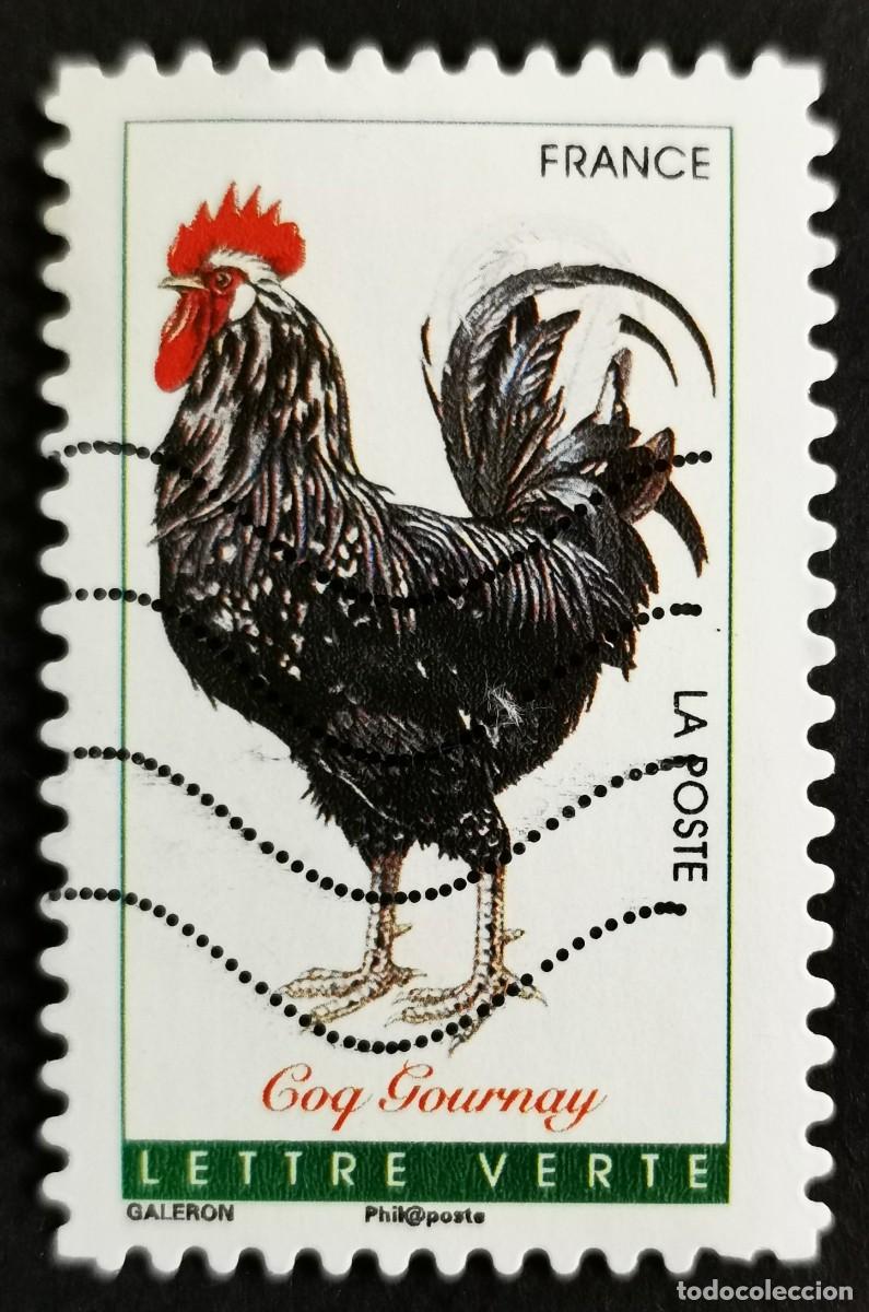 Sellos: Sello Francia 2016, Gallos franceses: Gallo de Gournay, Sin Valor Facial Michel: FR 6398