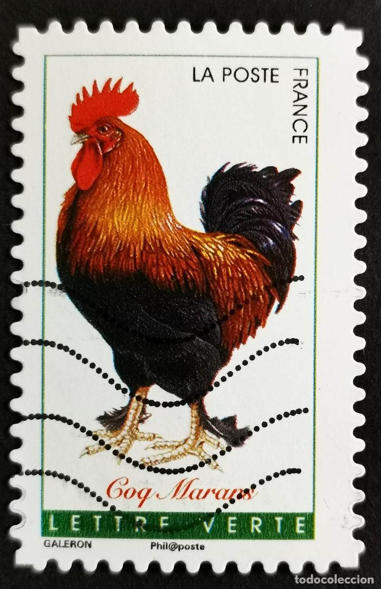 Sellos: Sello Francia 2016, Gallos franceses: Gallo de Marans, Sin Valor Facial Michel: FR 6404