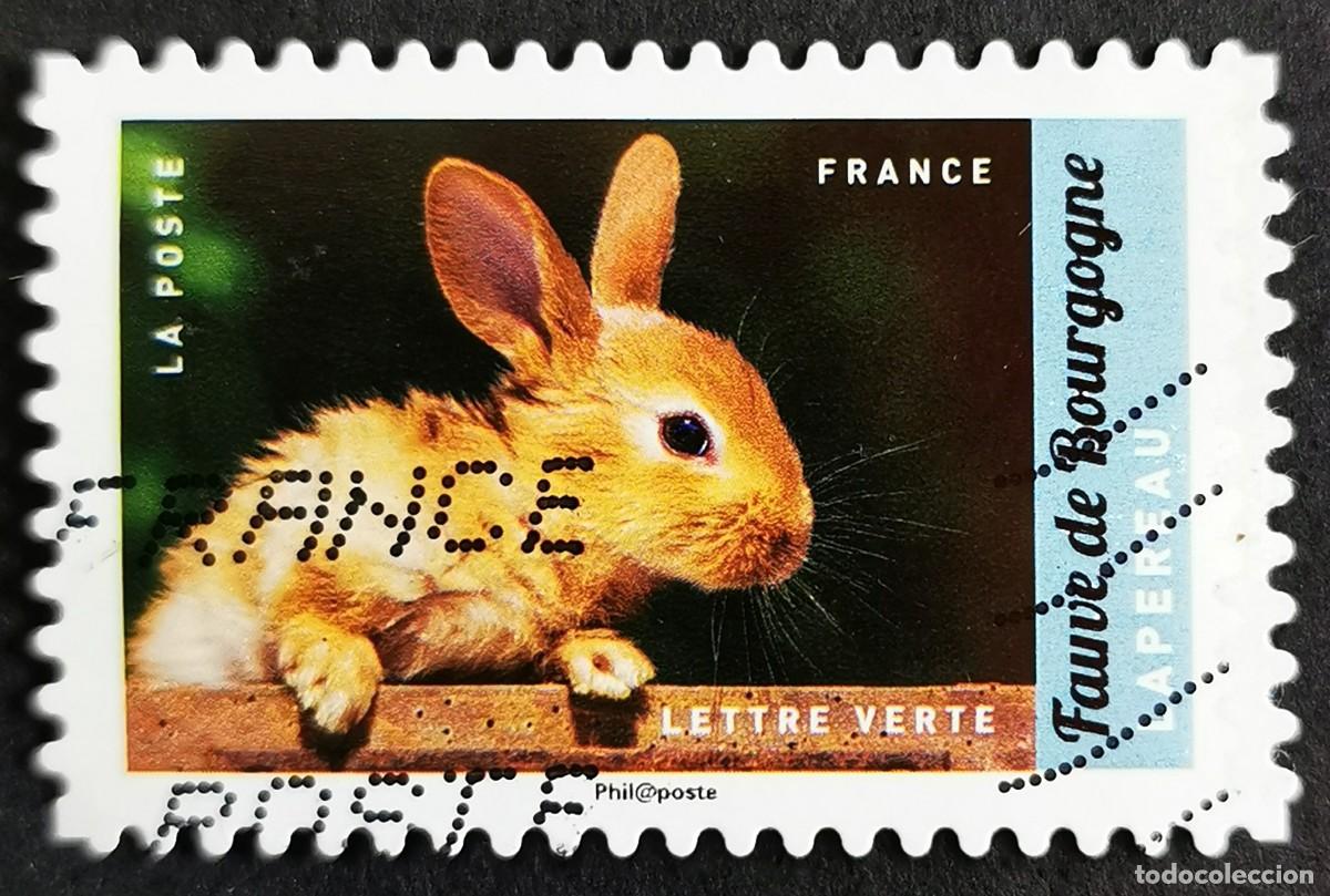Selos: Sello Francia 2017, Animales granja: Conejo de Borgo&ntilde;a, Sin Valor Facial Michel: FR 6682