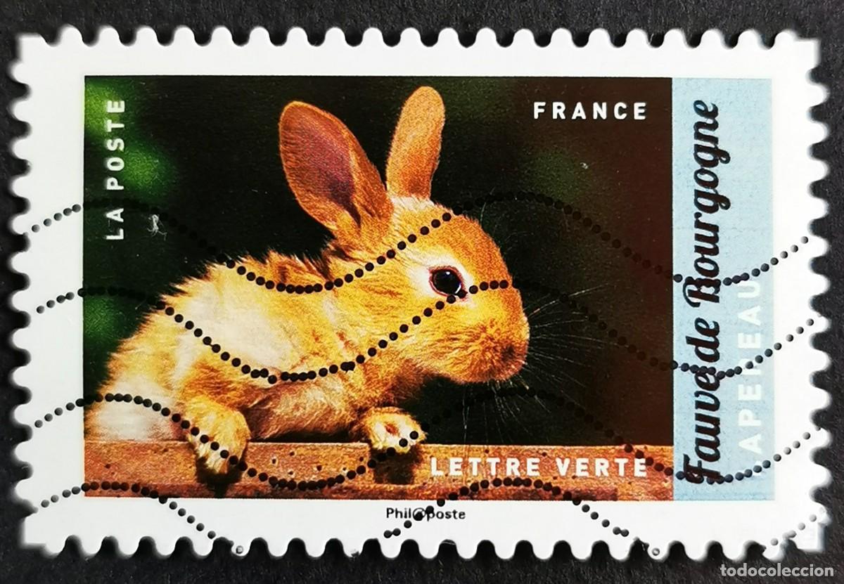 Sellos: Sello Francia 2017, Animales granja: Conejo de Borgo&ntilde;a, Sin Valor Facial Michel: FR 6682