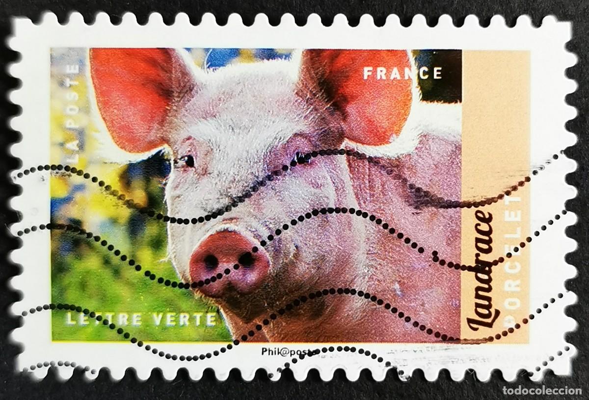 Selos: Sello Francia 2017, Animales granja: Cerdo (Sus scrofa domestica), Sin Valor Facial Michel: FR 6687