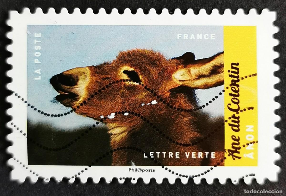Sellos: Sello Francia 2017, Animales granja: Burro Cotentin, Sin Valor Facial Michel: FR 6688