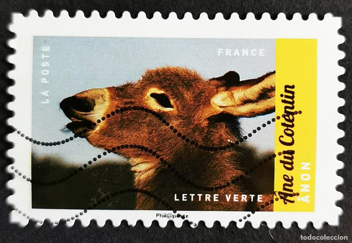 Francobolli: Sello Francia 2017, Animales granja: Burro Cotentin, Sin Valor Facial Michel: FR 6688
