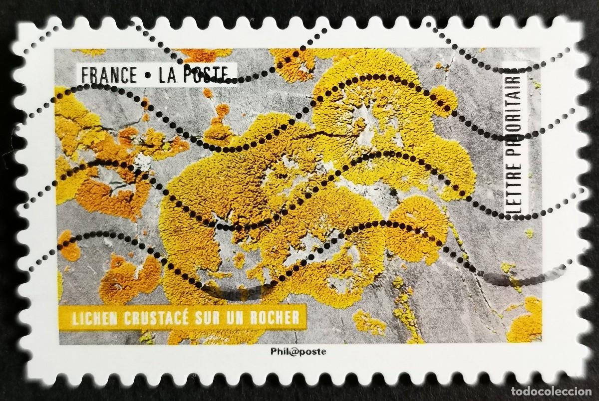 Sellos: Sello Francia 2018, Obra naturaleza: Liquen crust&aacute;ceos sobre roca, Sin Valor Facial Michel: FR 6933