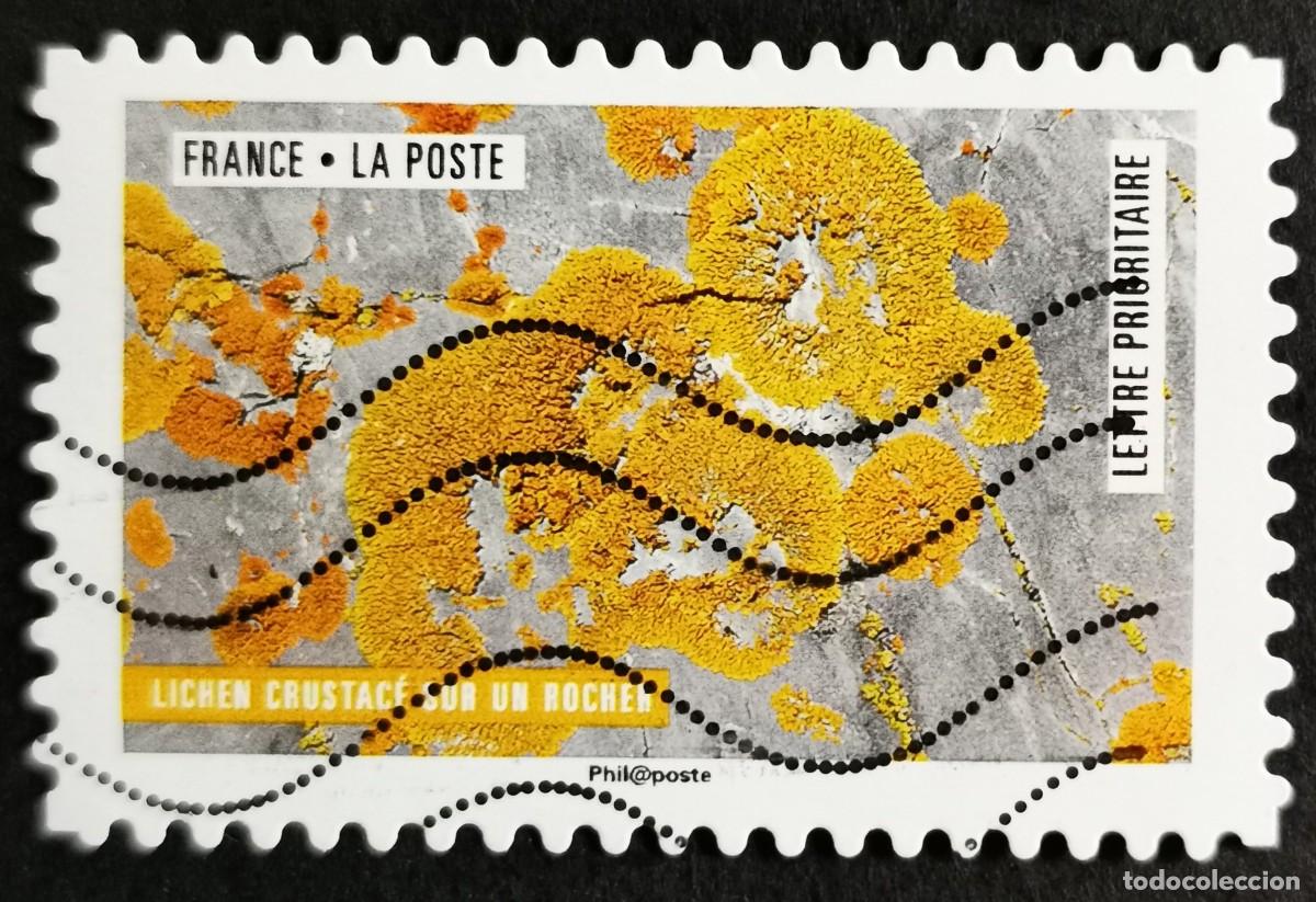 Sellos: Sello Francia 2018, Obra naturaleza: Liquen crust&aacute;ceos sobre roca, Sin Valor Facial Michel: FR 6933
