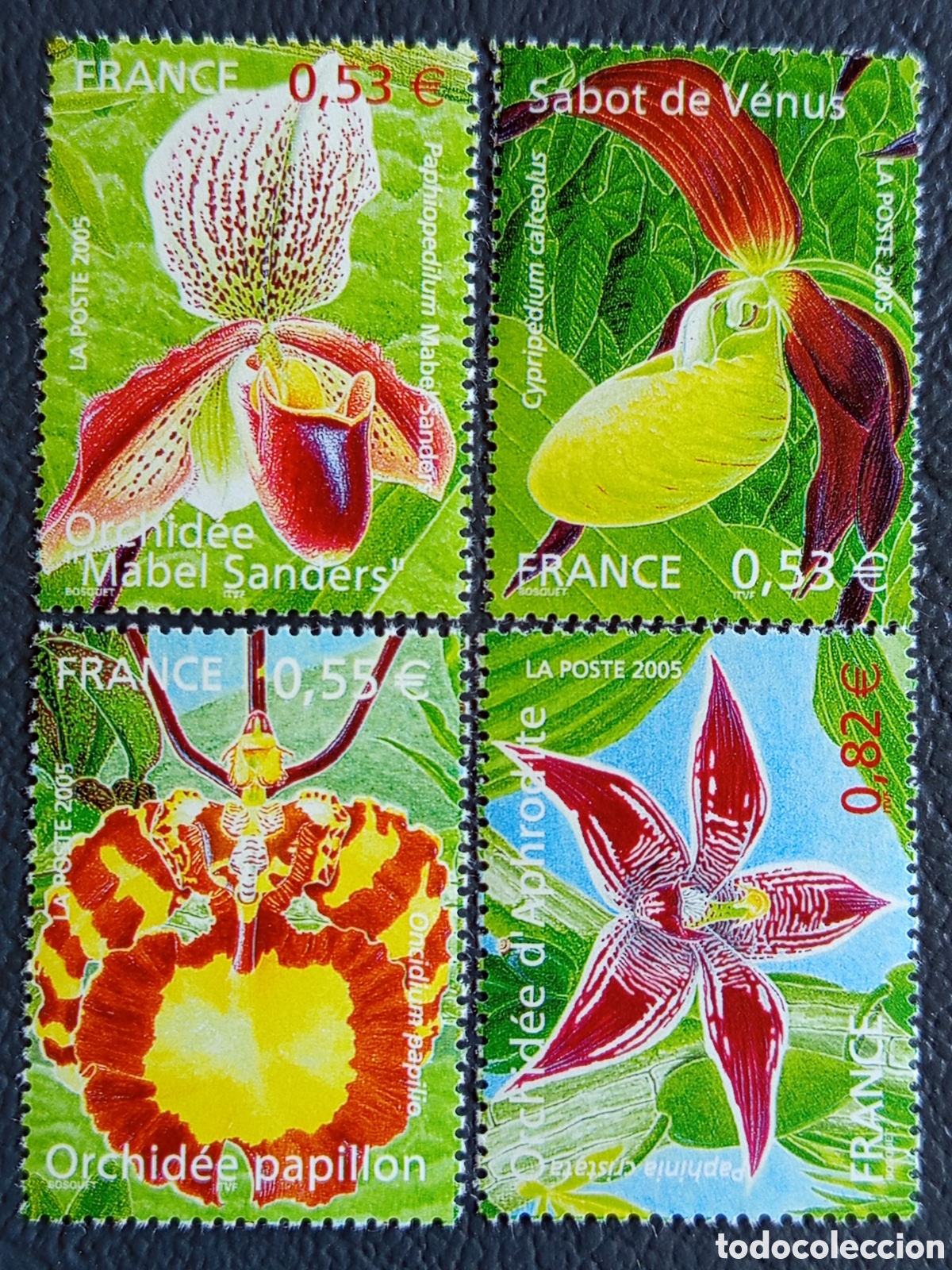 Sellos: Francia 2005 - Serie Completa Orqu&iacute;deas MNH / Nuevo (Yvert 3763-3766)