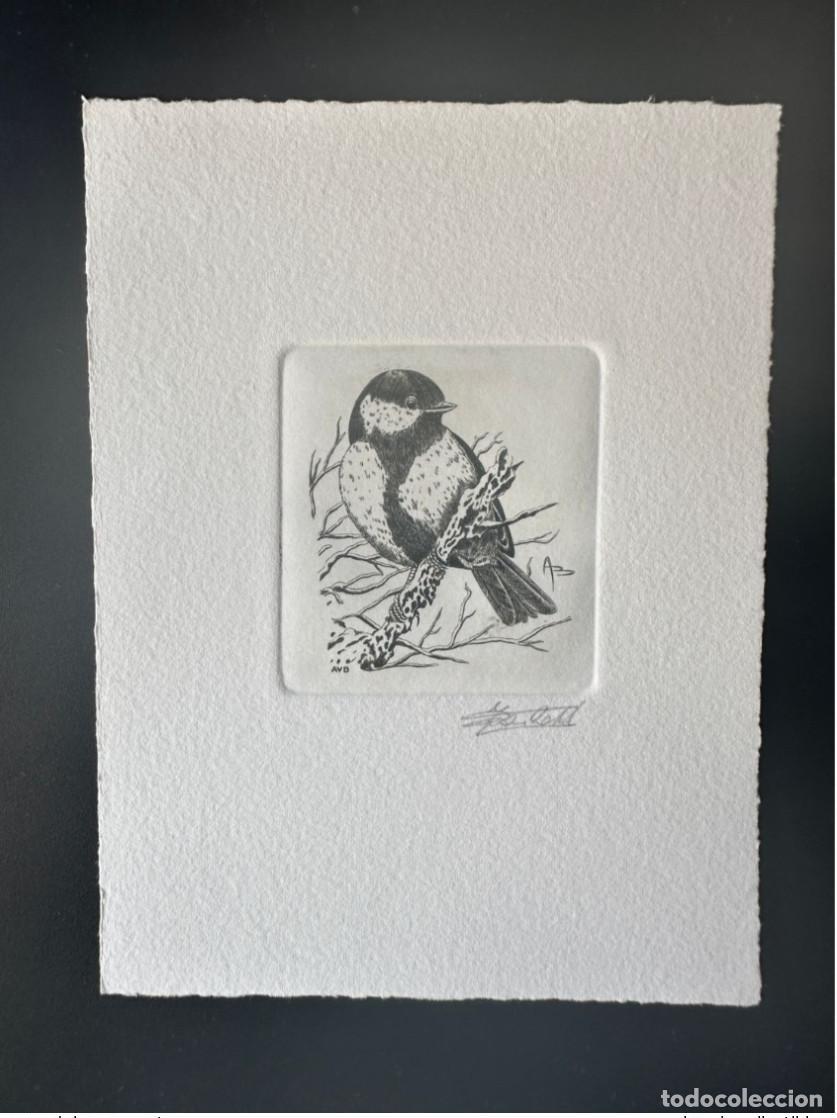 Briefmarken: B&eacute;lgica 1992 COB 2460 Prueba art&iacute;stica FDC Oiseau Andr&eacute; Buzin M&eacute;sange