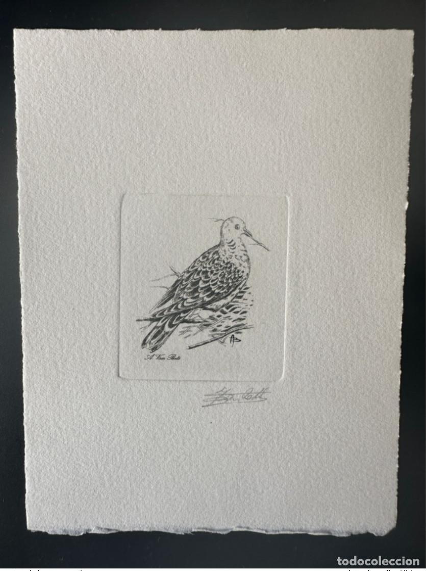 Briefmarken: B&eacute;lgica 1998 COB 2783 Prueba de artista FDC Bird Andr&eacute; Buzin Wood Dove