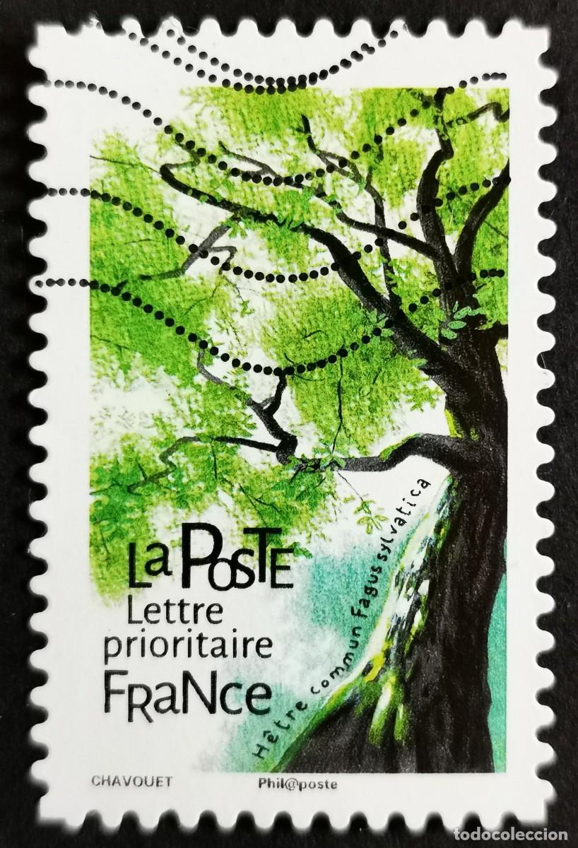 Sellos: Sello Francia 2018,&Aacute;rboles: Haya com&uacute;n (Fagus sylvatica), Sin Valor Facial Michel: FR 7099