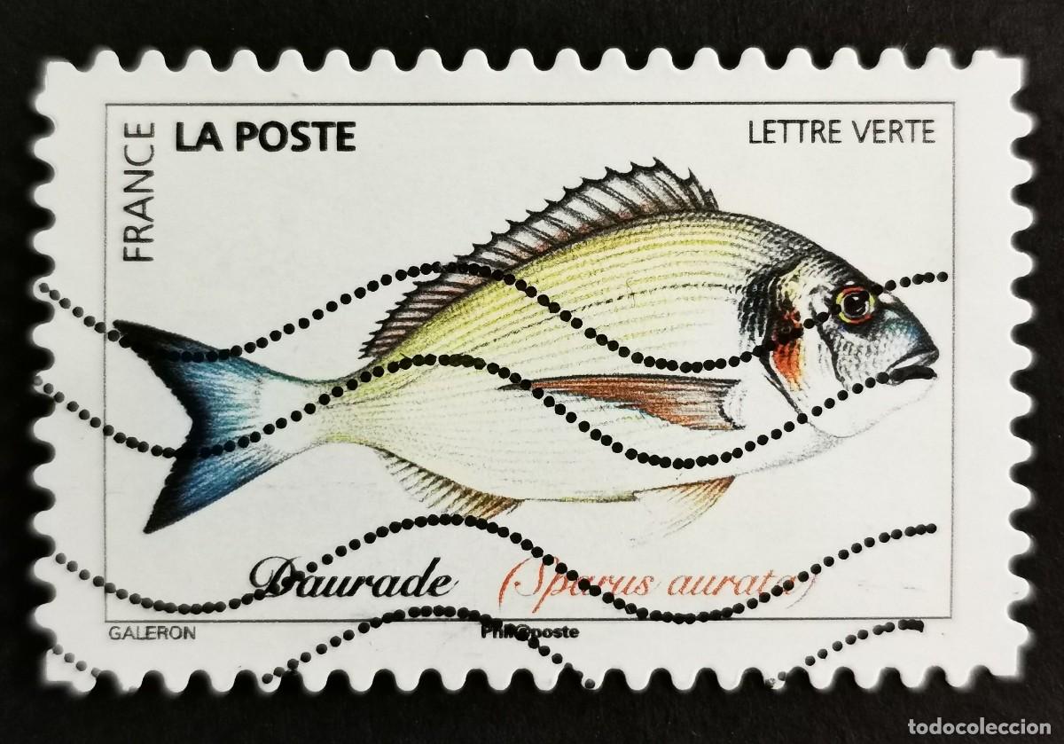 Sellos: Sello Francia 2019,Peces del oc&eacute;ano: Dorada (Sparus aurata) , Sin Valor Facial Michel: FR 7266