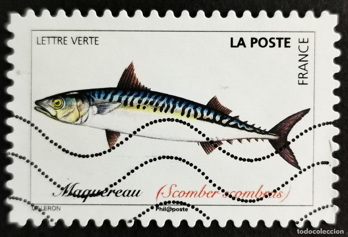 Stamps: Sello Francia 2019,Peces del oc&eacute;ano: Caballa del Atl&aacute;ntico (Scomb, Sin Valor Facial Michel: FR 7269