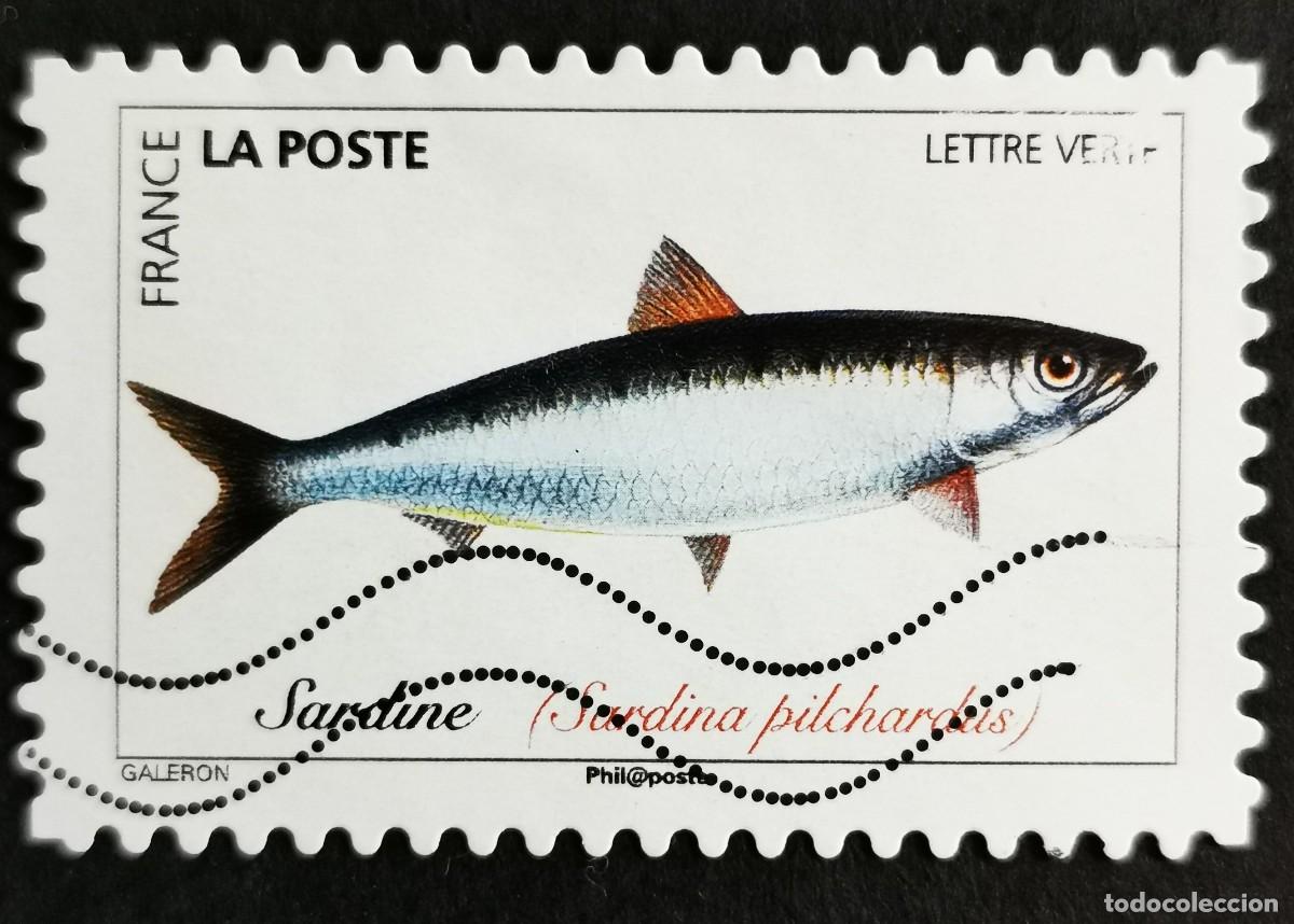 Sellos: Sello Francia 2019,Peces del oc&eacute;ano: Sardina europea (Sardina pilc, Sin Valor Facial Michel: FR 7271
