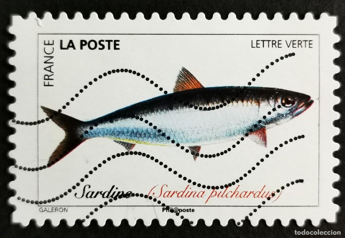 Sellos: Sello Francia 2019,Peces del oc&eacute;ano: Sardina europea (Sardina pilc, Sin Valor Facial Michel: FR 7271