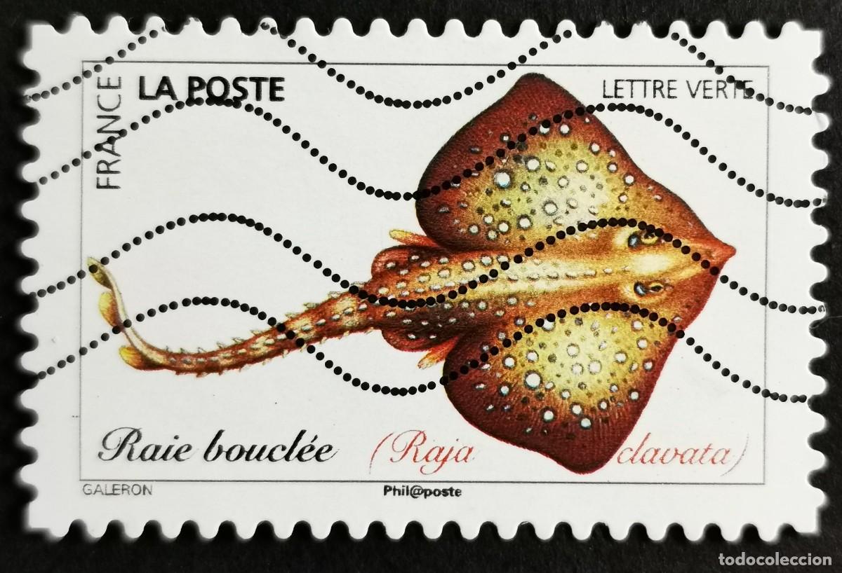 Timbres: Sello Francia 2019,Peces del oc&eacute;ano: Raya espinosa (Raja clavata), Sin Valor Facial Michel: FR 7272