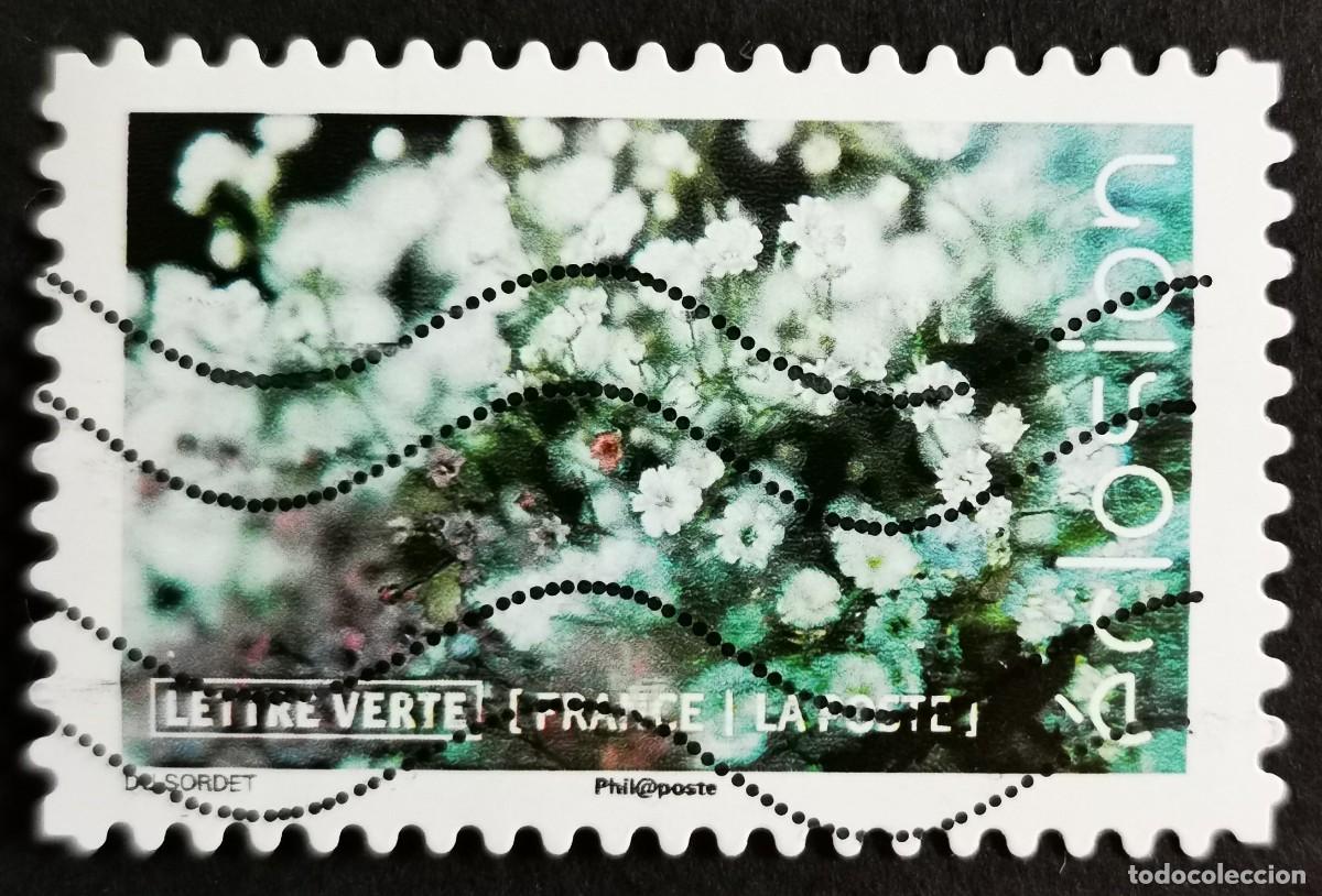 Sellos: Sello Francia 2019,Flores en flor: Gypsophila paniculata, Sin Valor Facial Michel: FR 7316