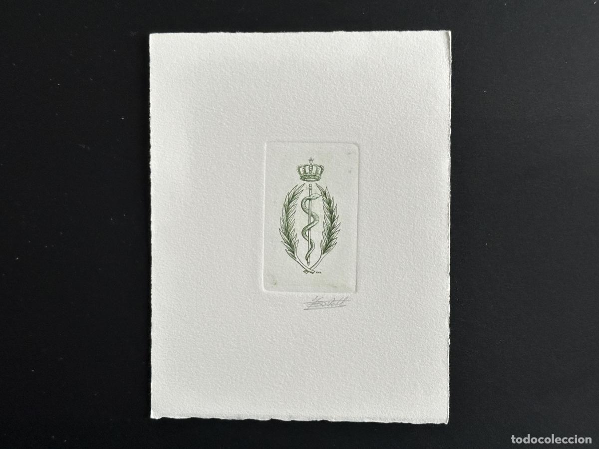 Sellos: B&eacute;lgica 1991 COB 2416 Artist proof FDC Snake medicine Brussels green
