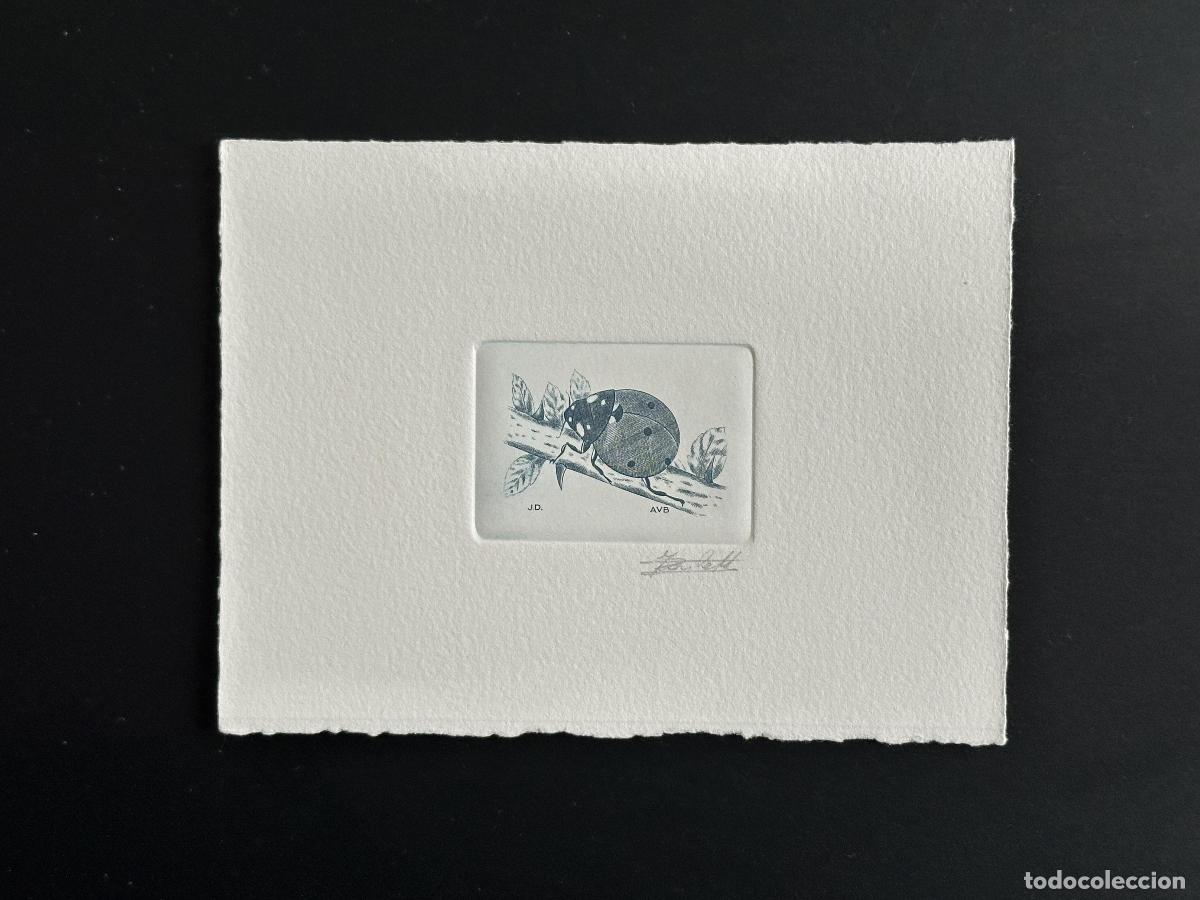 Sellos: B&eacute;lgica 1996 COB 2632 Artist proof Ladybug K&auml;fer Beetle blue