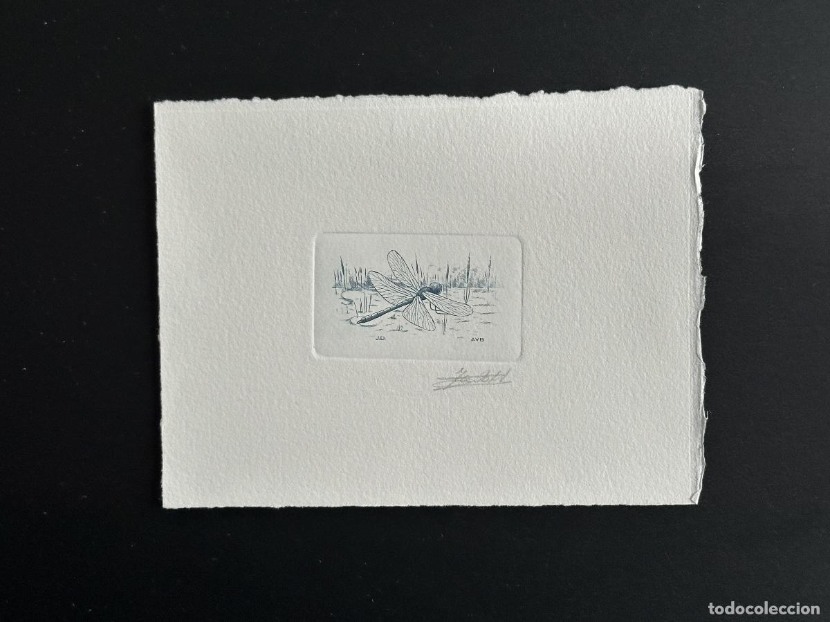 Sellos: B&eacute;lgica 1996 COB 2632 Prueba de artista FDC Insecto Lib&eacute;lula azul