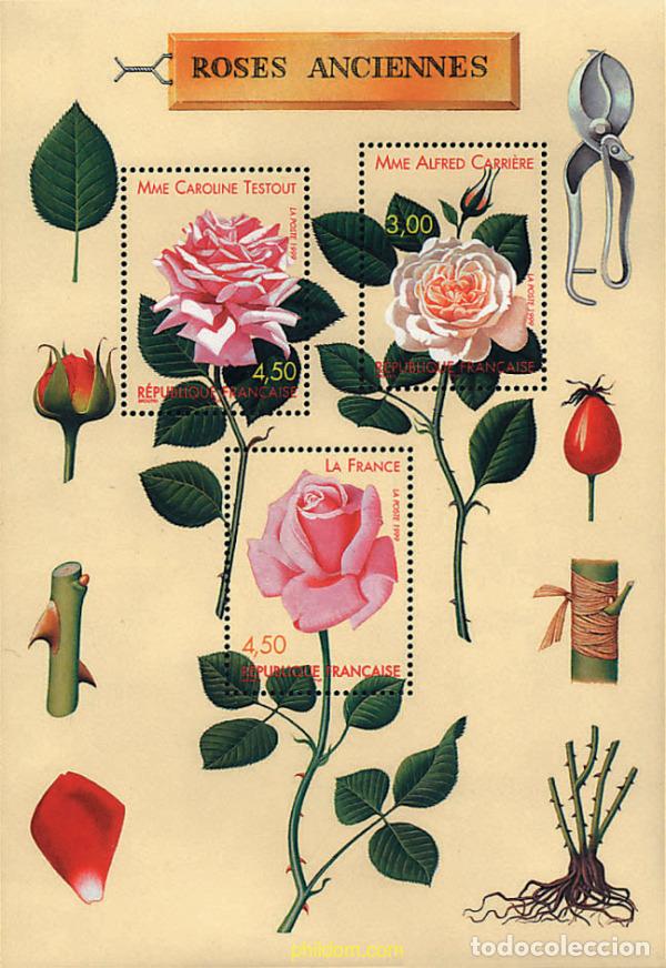 Sellos: 89336 MNH FRANCIA 1999 CONGRESO MUNDIAL DE ROSAS ANTIGUAS EN LYON
